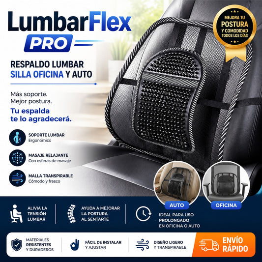 Respaldo Lumbar Silla Oficina Automovil